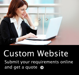 Custom Website Request